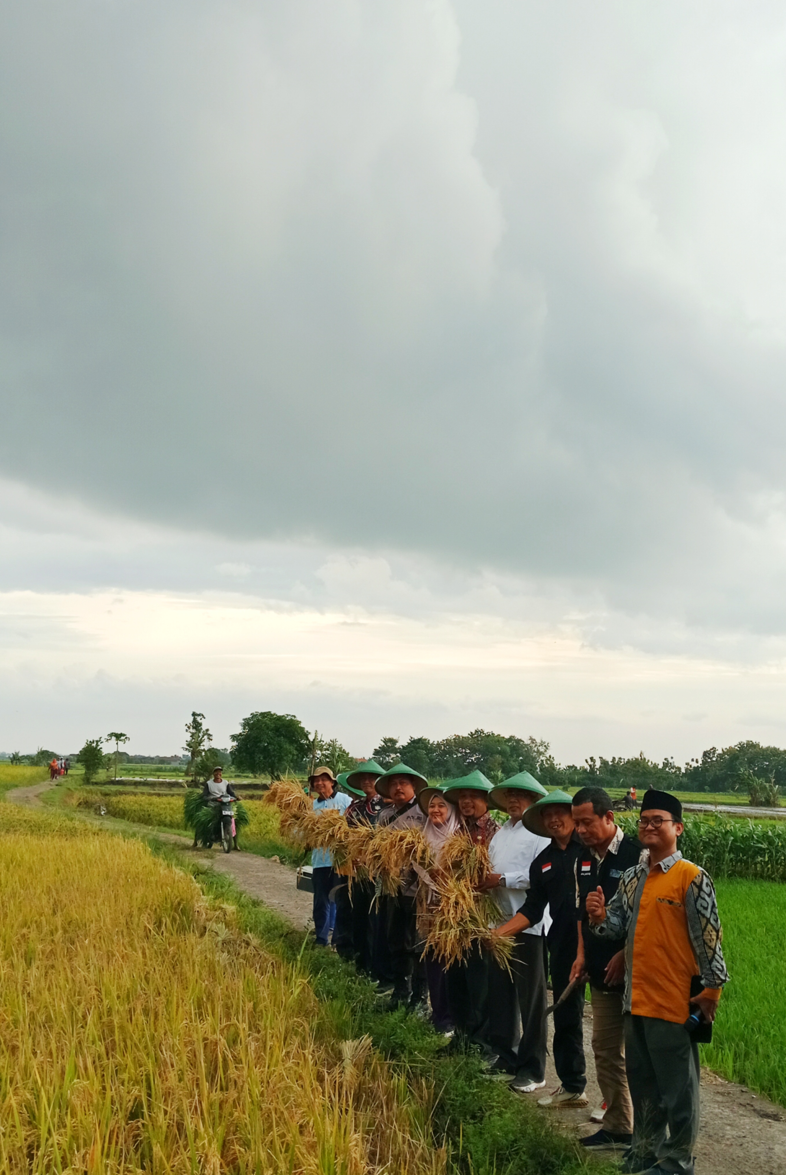 33%  Hasil Panen Melonjak dari Program Modal Rp50 Juta untuk 10 Petani